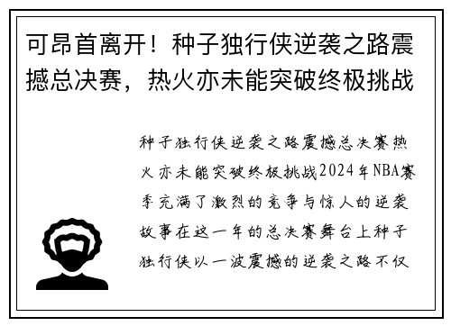 可昂首离开！种子独行侠逆袭之路震撼总决赛，热火亦未能突破终极挑战