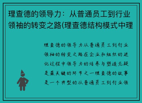 理查德的领导力：从普通员工到行业领袖的转变之路(理查德结构模式中理查德认为的四个步骤)